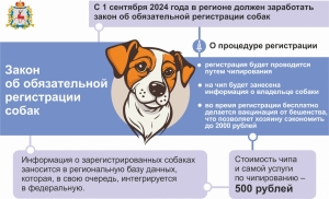 С 1 сентября 2024 года в регионе должен заработать закон об обязательной регистрации собак