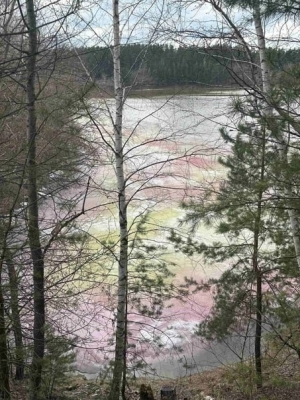 Цветной лед обнаружили на озере близ Дзержинска